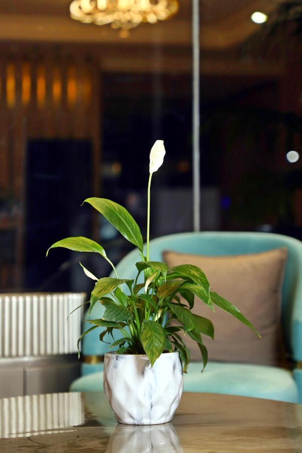 Blusalzz Residence 암리차르 외부 사진